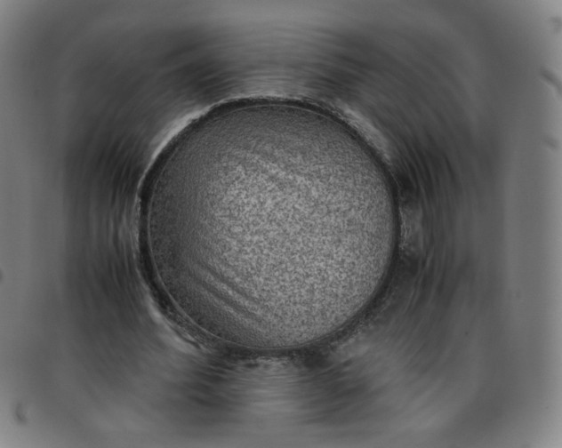 X0000097480580200803071718