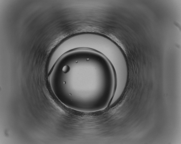 X0000097480581200803071718