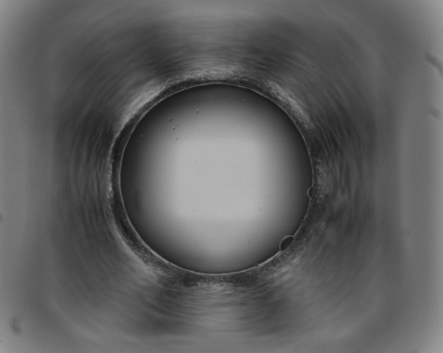 X0000097480582200803071718