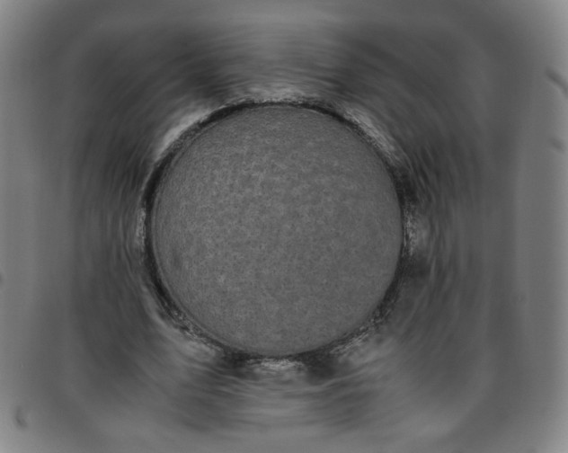 X0000097480583200803071718