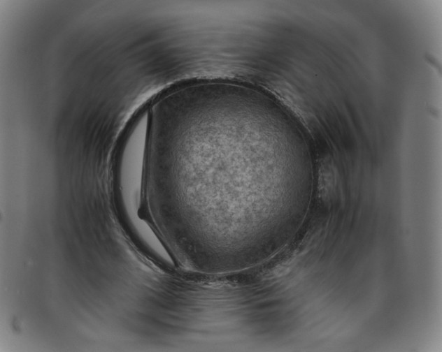 X0000097480584200803071718