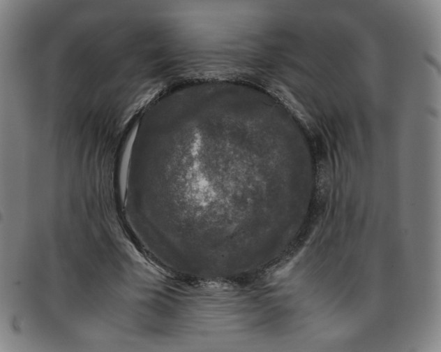 X0000097480585200803071718