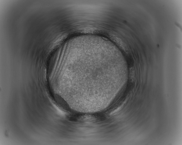 X0000097480589200803071718