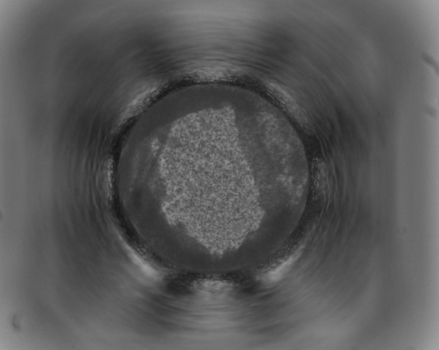 X0000097480590200803071718