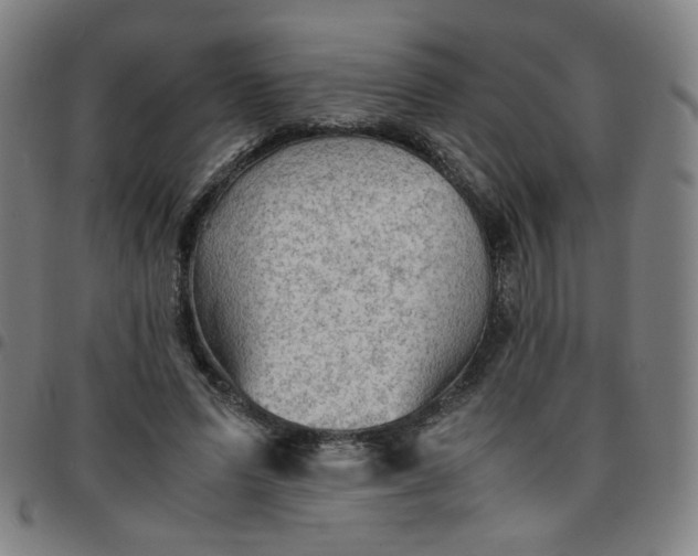 X0000097480591200803071718