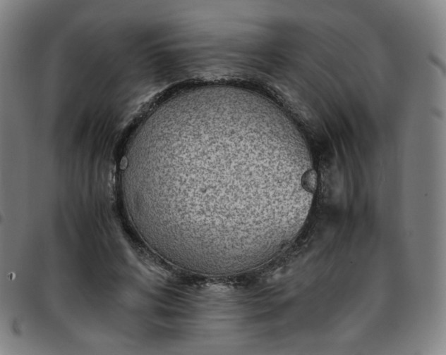 X0000097480592200803071718