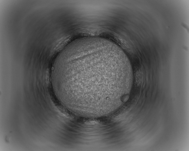 X0000097480594200803071718