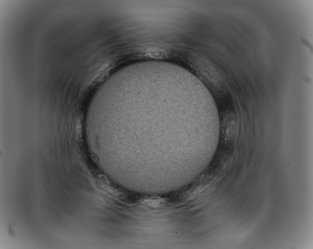 X0000097480595200803071718