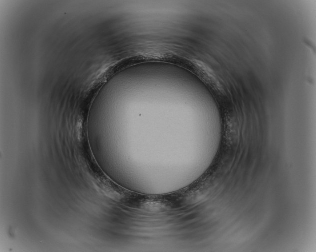 X0000097480596200803071718