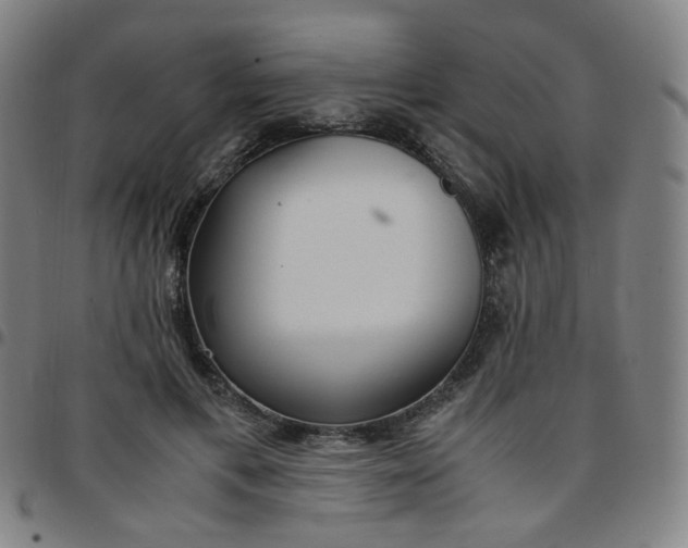 X0000097480597200803071718