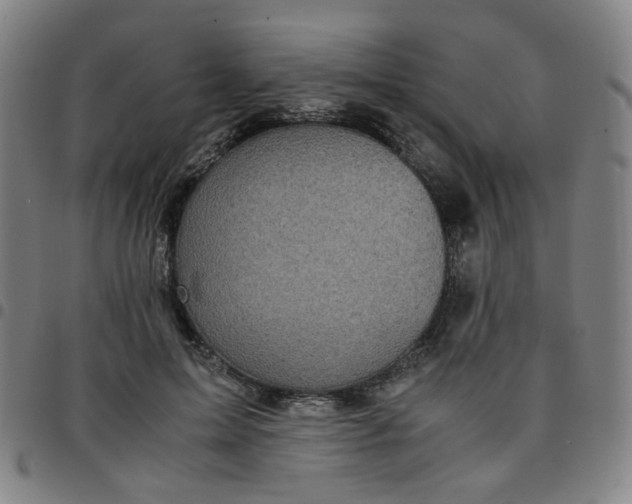 X0000097480599200803071718