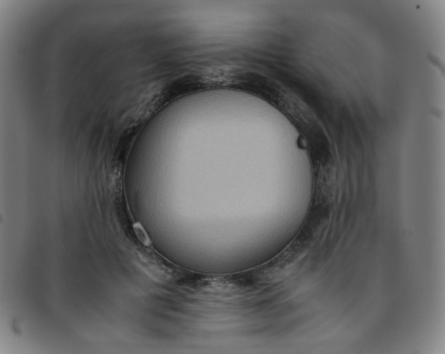 X0000097480601200803071718