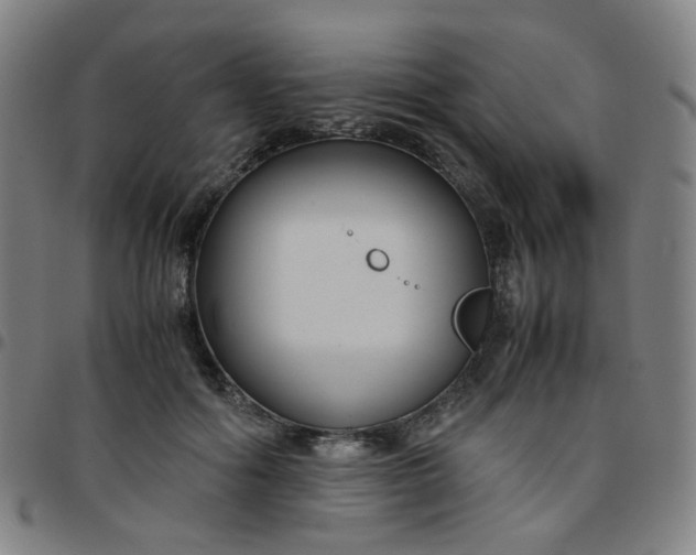 X0000097480602200803071718