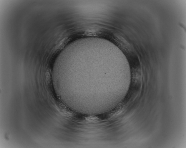 X0000097480603200803071718