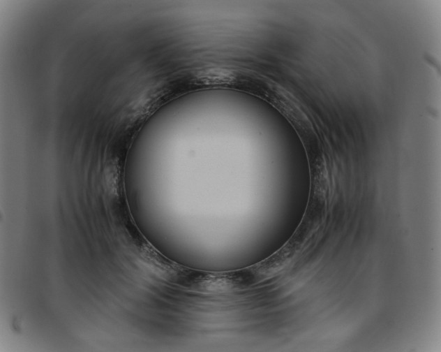 X0000097480604200803071718