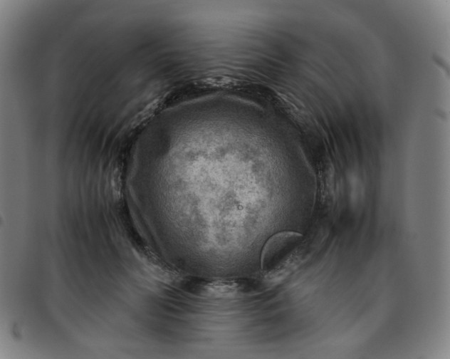 X0000097480606200803071718