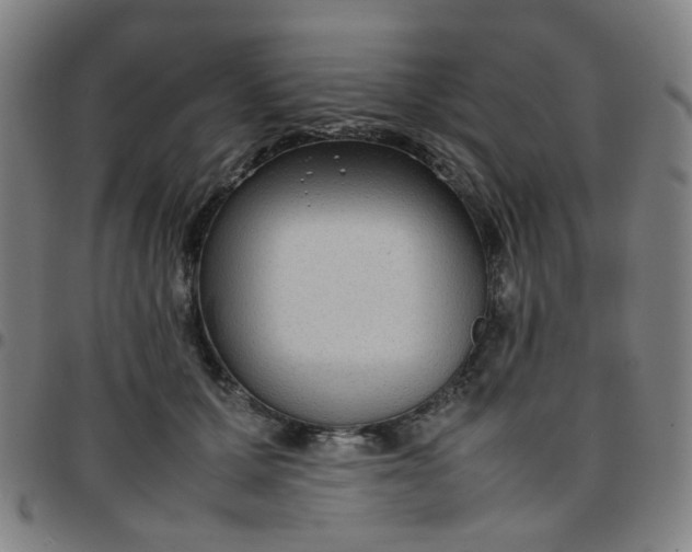 X0000097480607200803071718