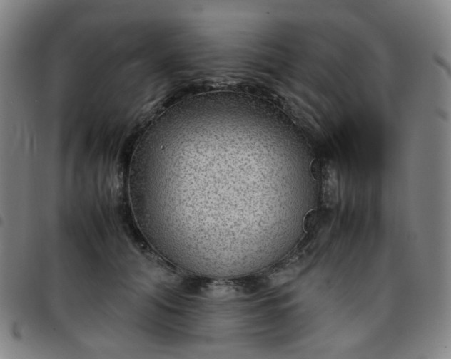 X0000097480608200803071718