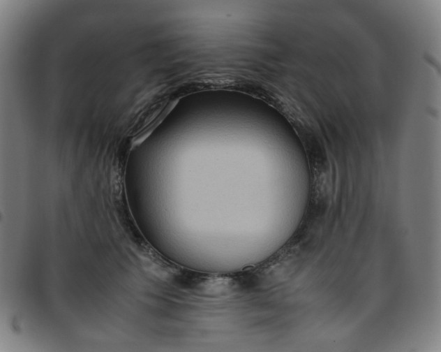 X0000097480609200803071718