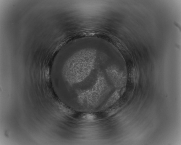 X0000097480610200803071718