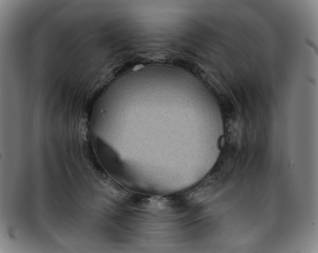 X0000097480612200803071718