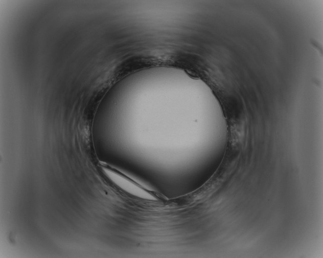 X0000097480613200803071718