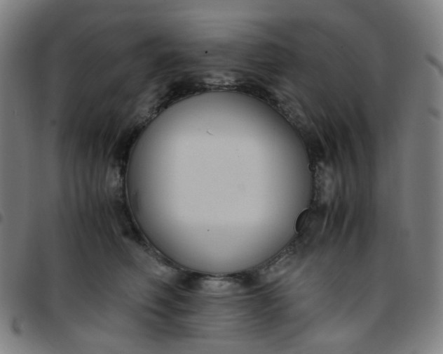 X0000097480614200803071718