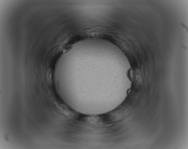 X0000097480615200803071718