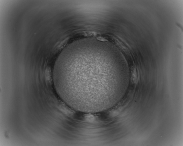 X0000097480616200803071718