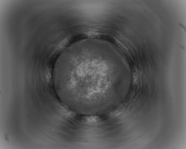 X0000097480618200803071718