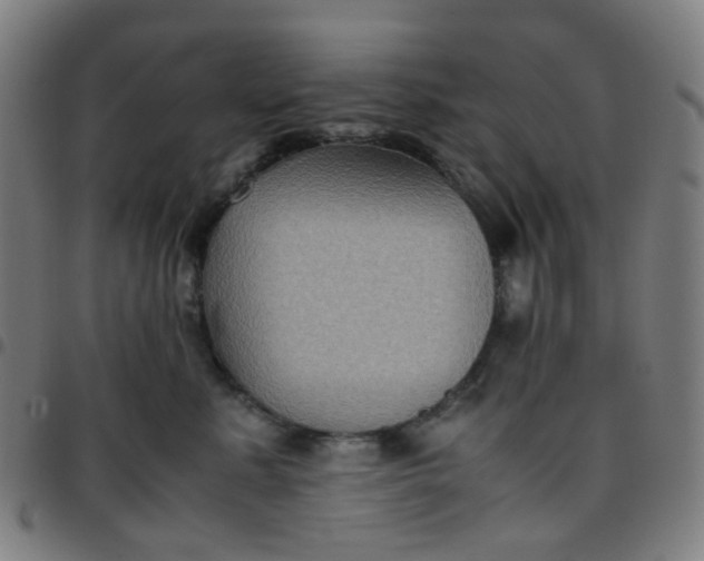 X0000097480619200803071718