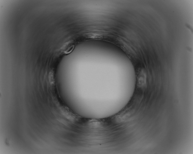 X0000097480620200803071718