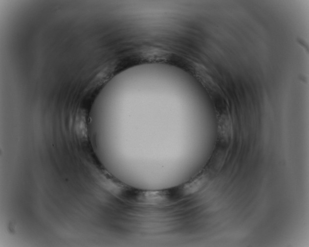 X0000097480622200803071718