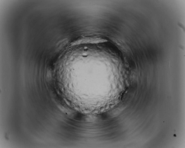 X0000097480623200803071718