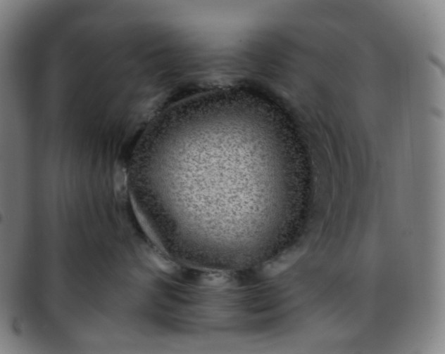 X0000097480624200803071718