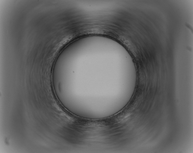 X0000097480625200803071717