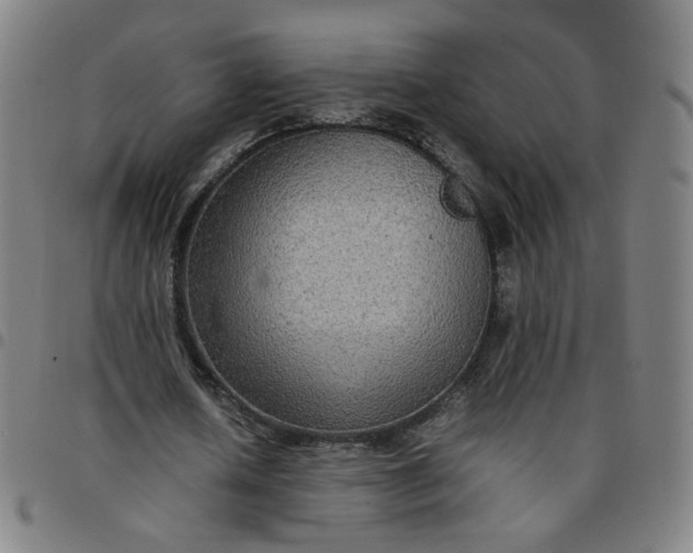 X0000097480626200803071717