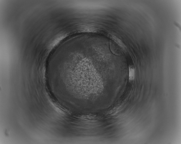 X0000097480627200803071717