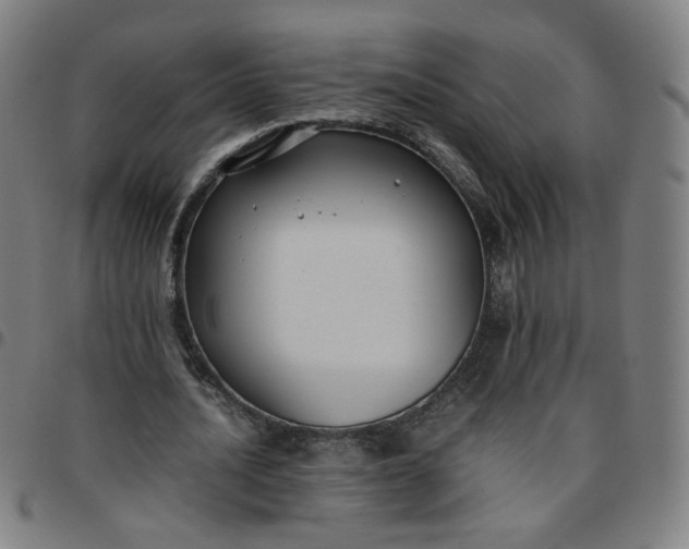 X0000097480628200803071717