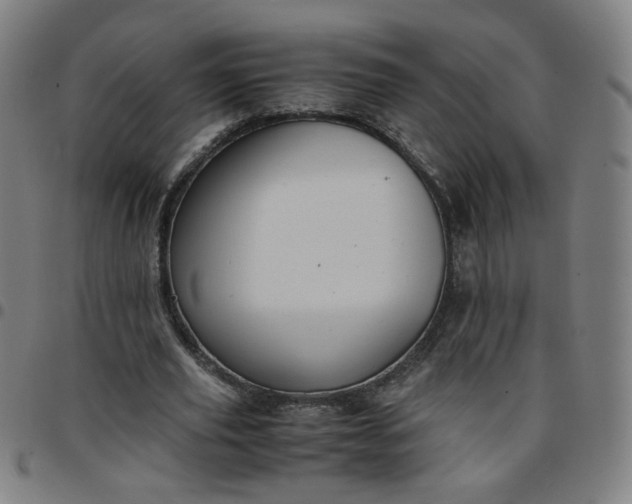 X0000097480629200803071717