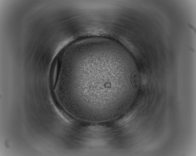 X0000097480630200803071717