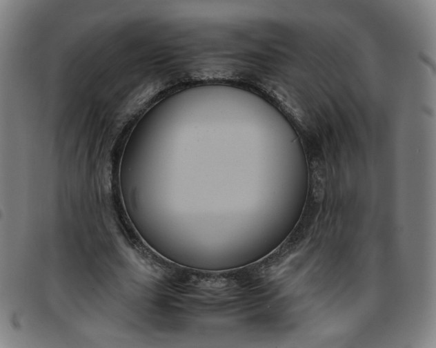 X0000097480631200803071717