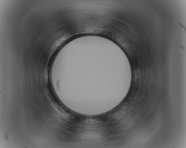 X0000097480632200803071717