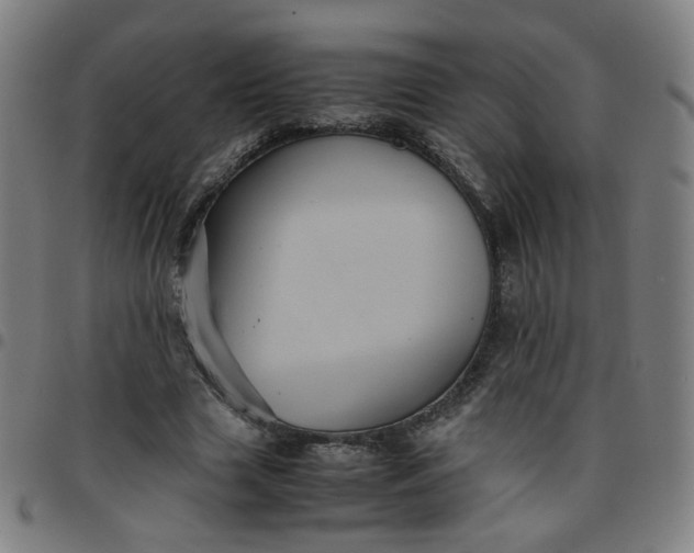 X0000097480633200803071717