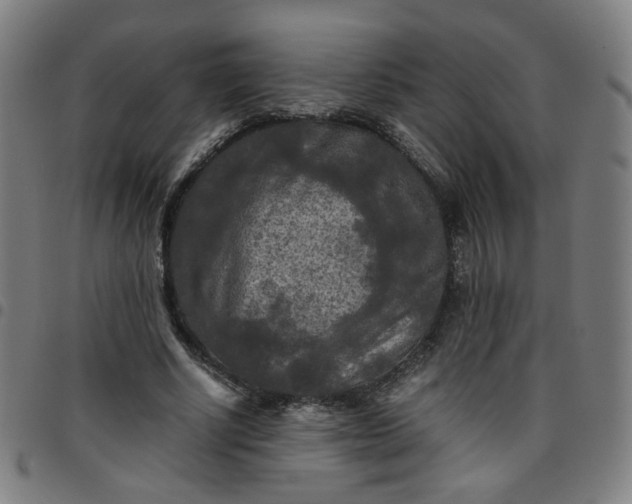 X0000097480634200803071717