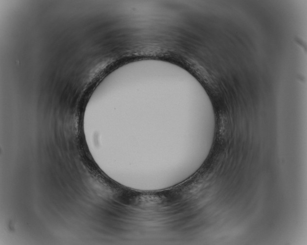 X0000097480636200803071717