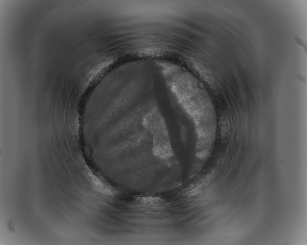 X0000097480637200803071717