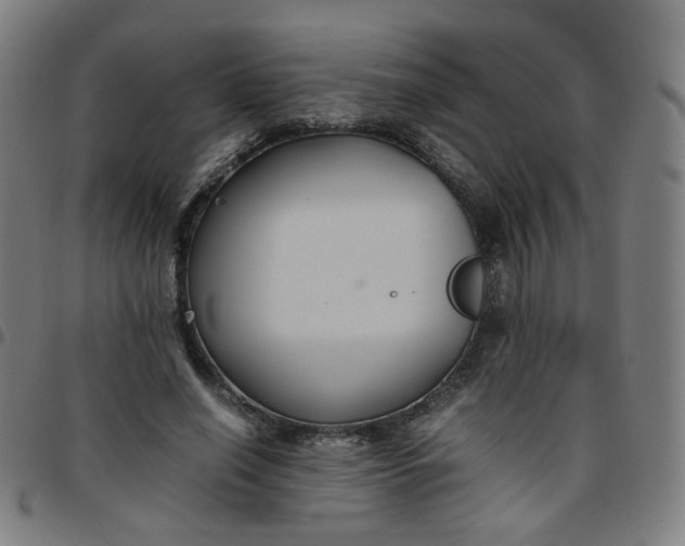 X0000097480638200803071717