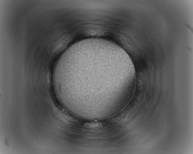 X0000097480639200803071717