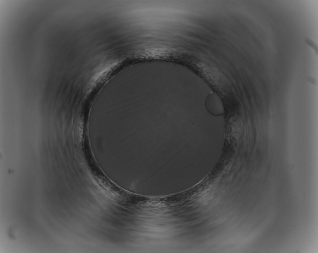 X0000097480640200803071717